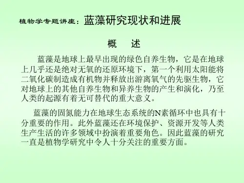 蓝藻简介