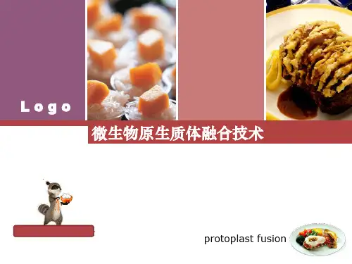 微生物原生质体融合技术