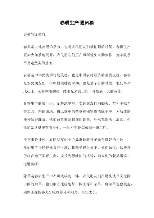 春耕生产 通讯稿