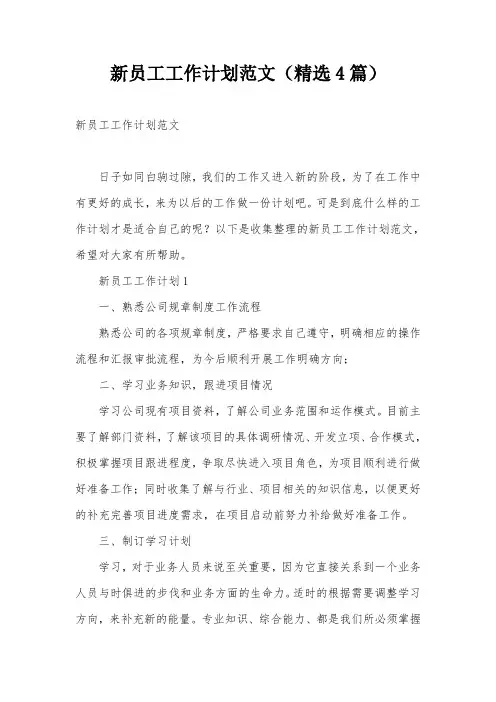 新员工工作计划范文(精选4篇)