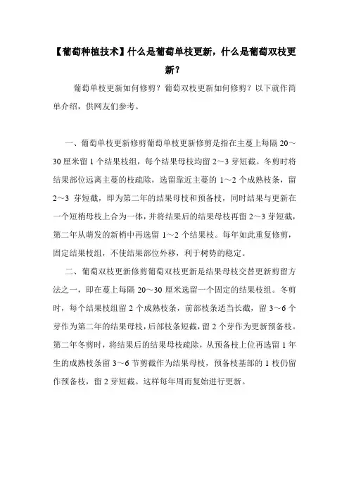 【葡萄种植技术】什么是葡萄单枝更新,什么是葡萄双枝更新？