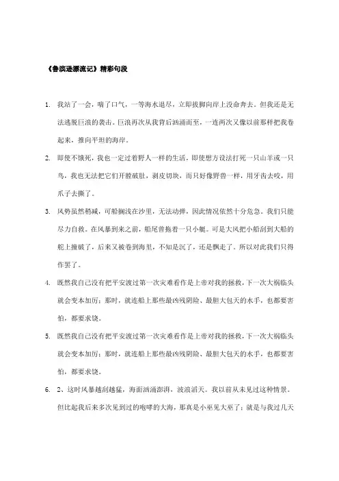 《鲁滨逊漂流记》精彩句段
