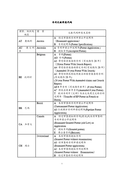 专利国别种类代码