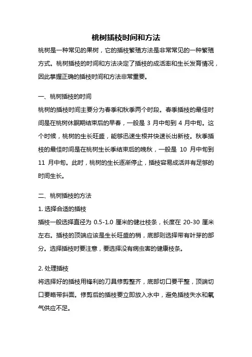 桃树插枝时间和方法