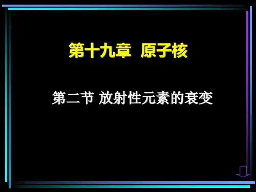 19.2  放射性元素的衰变PPT课件