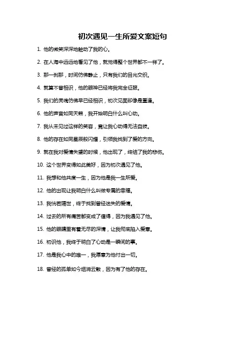 初次遇见一生所爱文案短句
