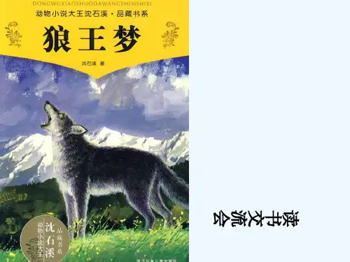 《狼王梦》读书交流会 PPT