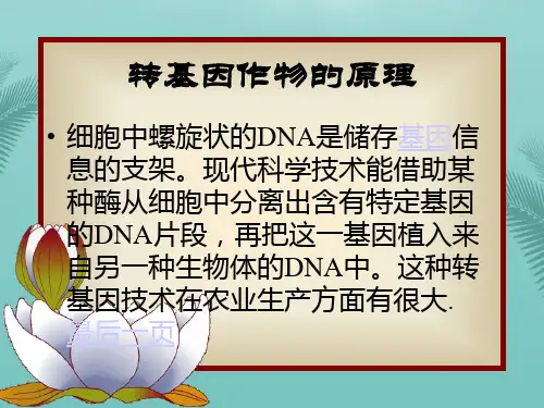 转基因作物的原理优秀PPT文档