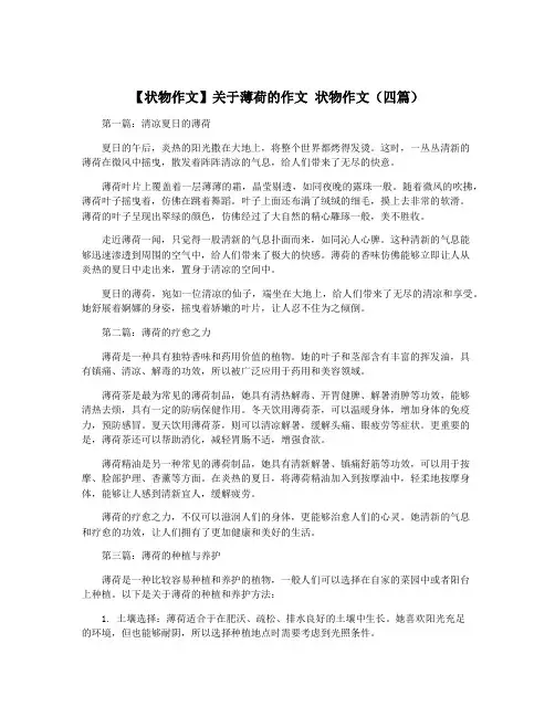 【状物作文】关于薄荷的作文 状物作文(四篇)