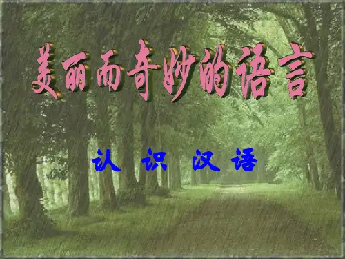 《美丽而奇妙的语言》PPT
