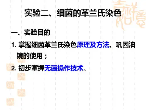 细菌的革兰染色法ppt课件