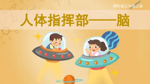 湘科版科学五年级上册人体指挥部——脑(课件)