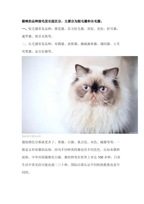 猫有几种品种
