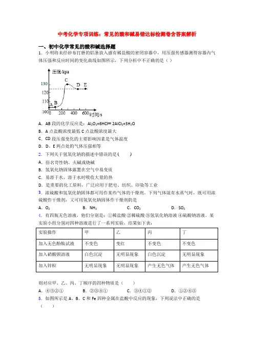 中考化学专项训练：常见的酸和碱易错达标检测卷含答案解析