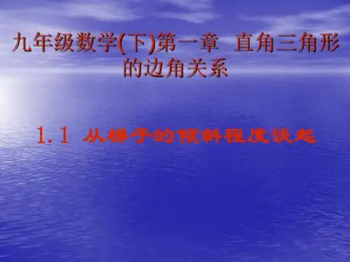 【数学课件】九年级数学下册1.1从梯子的倾斜程度谈起(新北师大版)