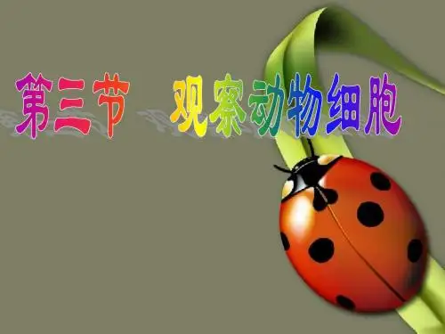 人教版七年级上册观察动物细胞课件