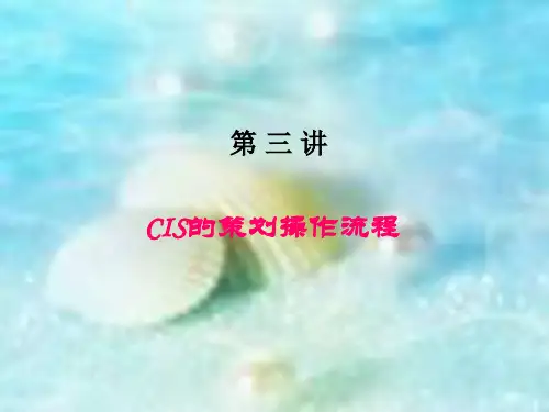 CIS的策划操作流程