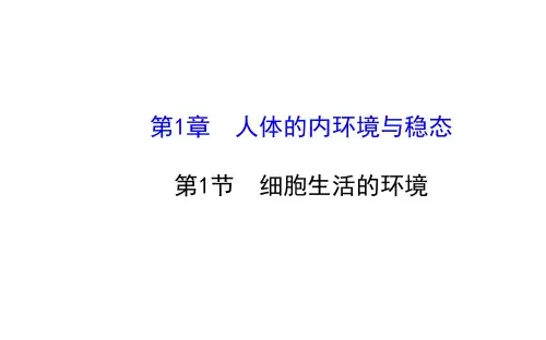 1.1细胞生活的环境 课件(人教版必修3)