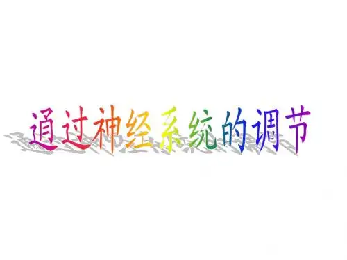 人教版教学课件生物：21《通过神经系统的调节》课件(新人教版必修3)高二ppt