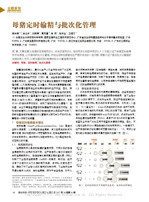 母猪定时输精与批次化管理