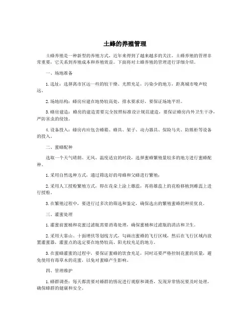 土蜂的养殖管理