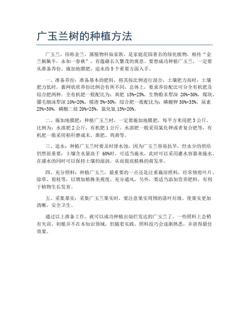 广玉兰树的种植方法
