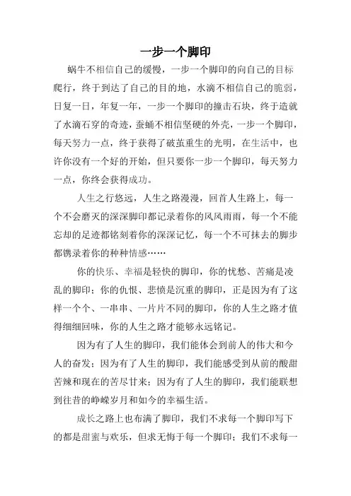 一步一个脚印