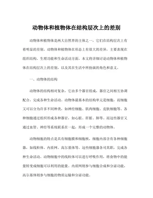 动物体和植物体在结构层次上的差别