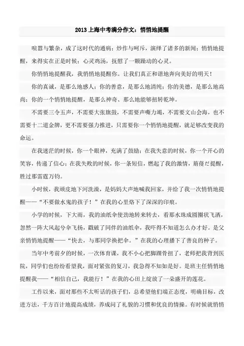 2013上海中考满分作文