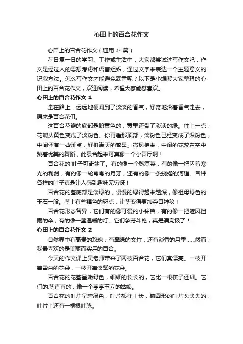 心田上的百合花作文