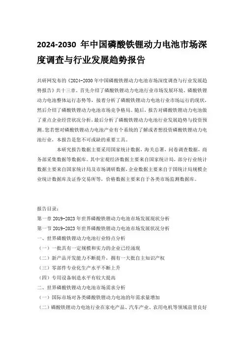 2024-2030年中国磷酸铁锂动力电池市场深度调查与行业发展趋势报告