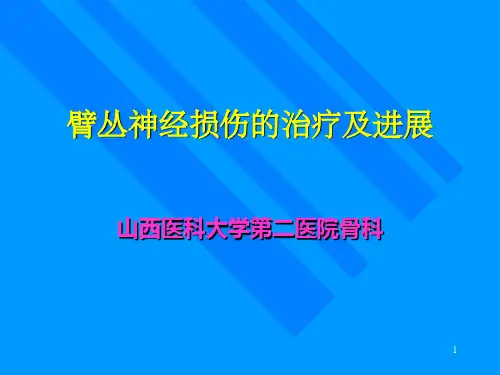 臂丛神经损伤的治疗及进展PPT课件