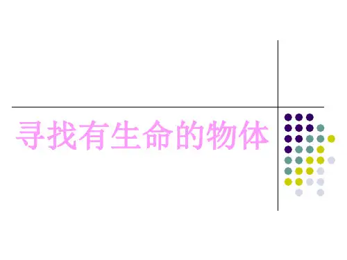 三年级上册科学课件-2.1 寻找有生命的物体｜苏教版 (共17张PPT)