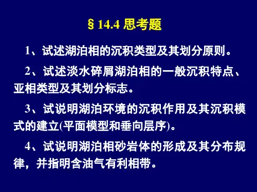 14-4湖泊相(沉积岩与沉积相)