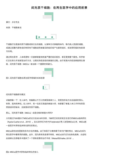 间充质干细胞：在再生医学中的应用前景