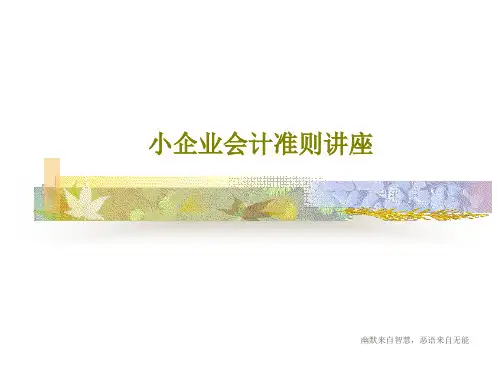 小企业会计准则讲座29页PPT