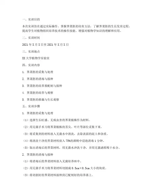 荠菜胚的实训报告