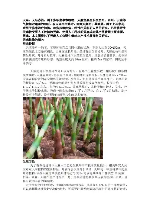 林下天麻人工仿野生栽培丰产技术研究