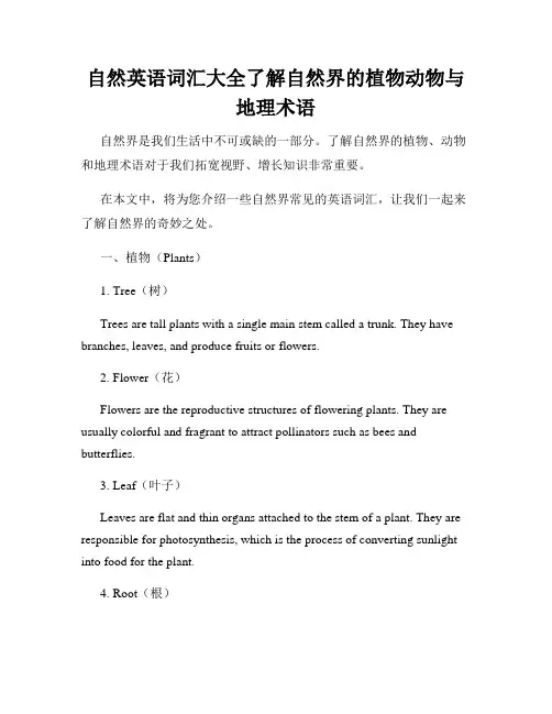 自然英语词汇大全了解自然界的植物动物与地理术语
