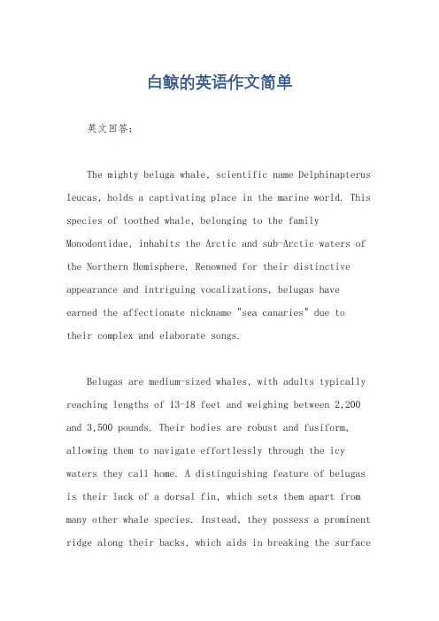 白鲸的英语作文简单