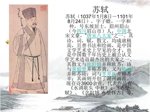 《枯木怪石图》