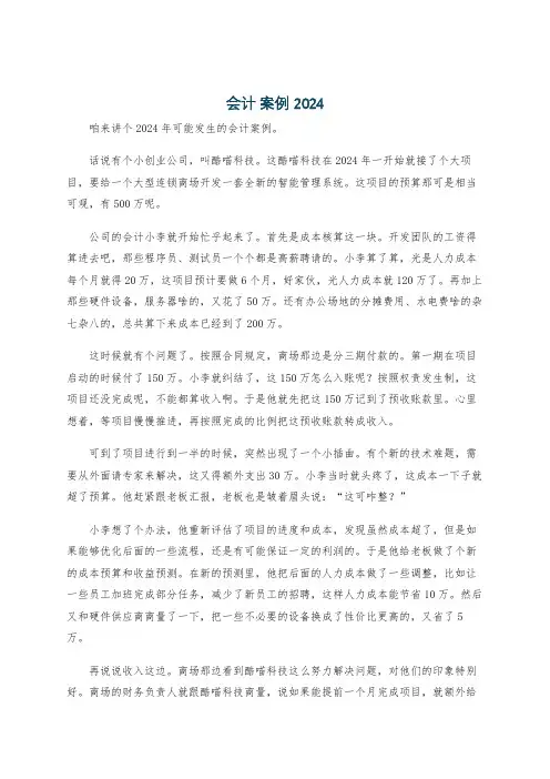 会计 案例 2024
