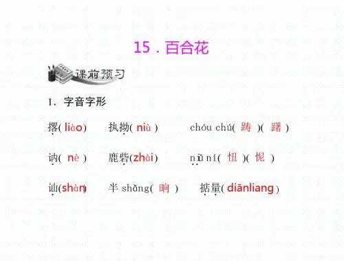 初中语文九年级《15.百合花》