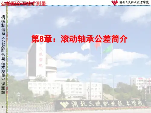 滚动轴承公差简介