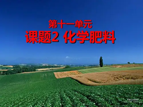 化学肥料PPT课件20 人教版