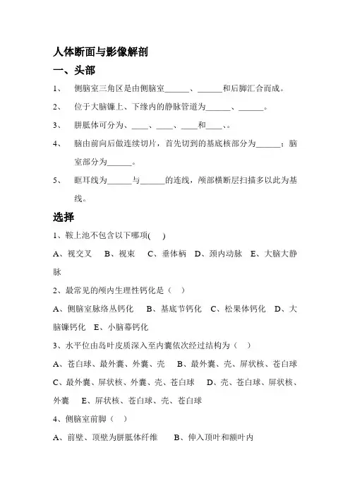 人体断面与影像解剖学习题附答案