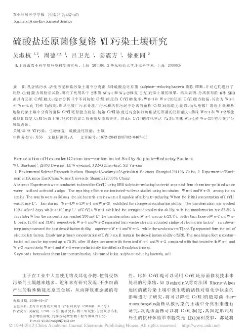 硫酸盐还原菌修复铬_污染土壤研究_吴淑杭