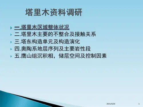 《塔里木资料调研》PPT课件