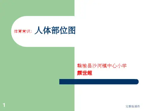 体育常识：人体部位图ppt课件