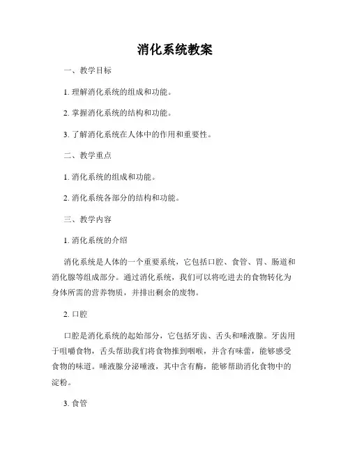消化系统教案